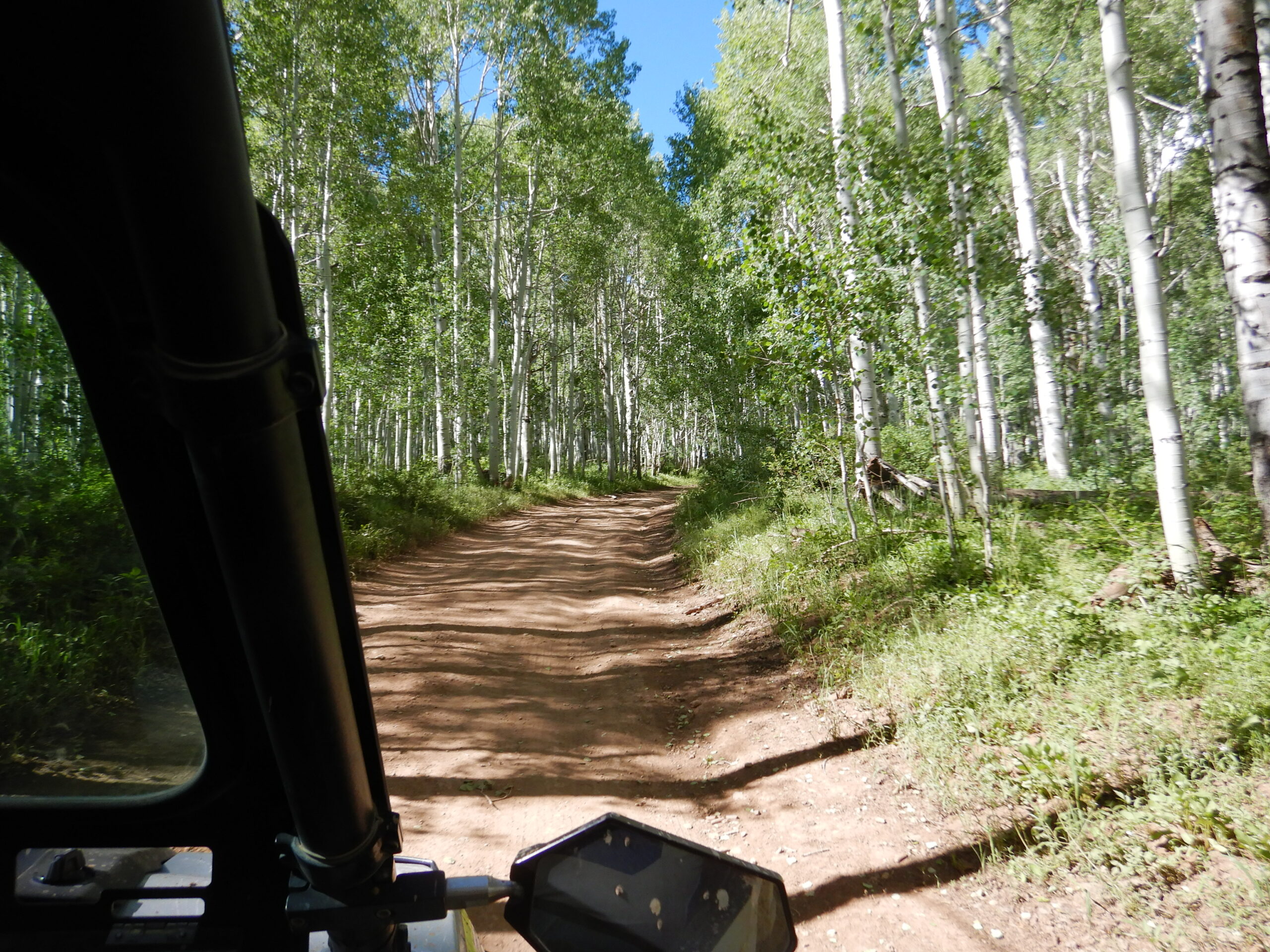 Kanab to Kamas | Adventures with Quadman - Day 5 | Trees on Trail | My Local Utah